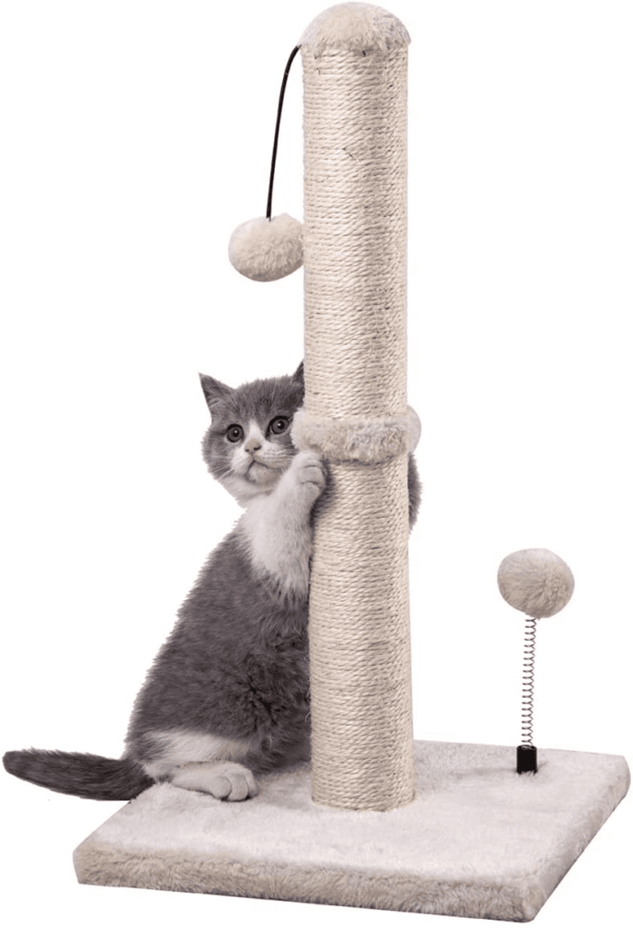 Cat Scratching Post Premium Basics Kitten Scratcher Sisal Scratch Posts with Hanging Ball 22In for Kittens or Smaller Cats (22 Inches for Kitten, Beige) - Image 2