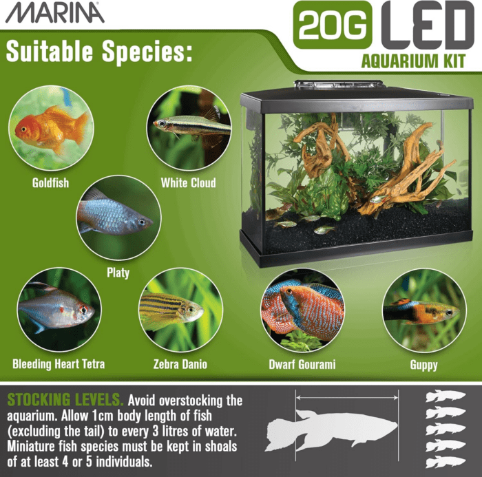 Aquarium Kit - 20 Gallon Fish Tank - LED - Image 6