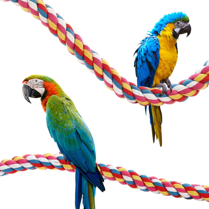 Bird Rope Perches,Parrot Toys 21 Inches Rope Bungee Bird Toy (21 Inches)[1 Pack] - Image 8