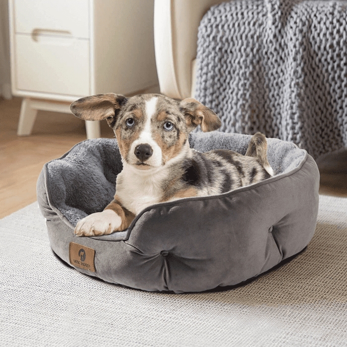 Small Dog Bed for Small Dogs, Cat Beds for Indoor Cats, Pet Bed for Puppy and Kitty, Extra Soft & Machine Washable with Anti-Slip & Water-Resistant Oxford Bottom, Grey, 20 Inches - Image 2