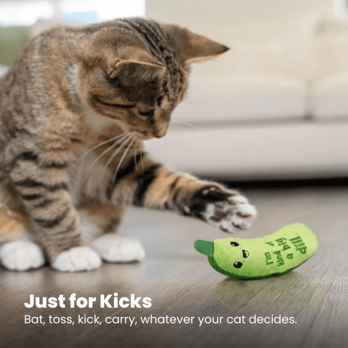 Crunchy Pickle Kicker Dental Catnip Cat Toy - Image 8