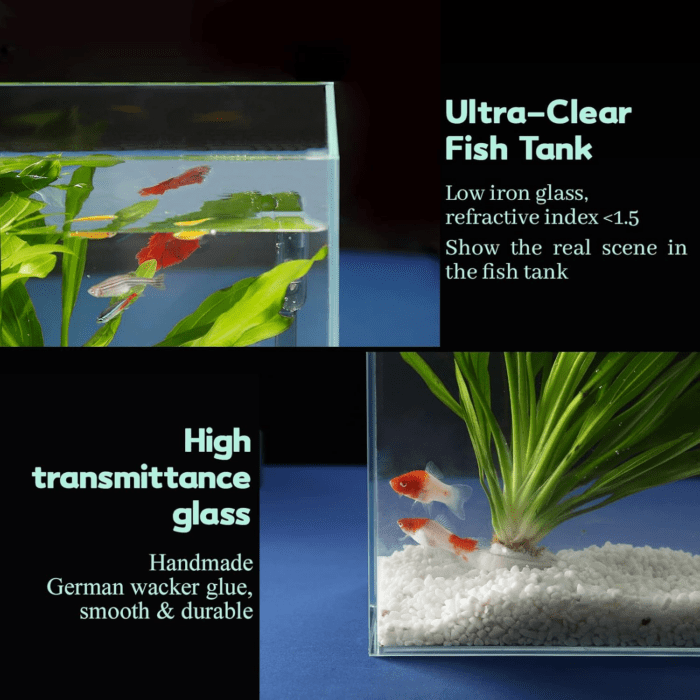 3 Gallon Ultra Clear Glass Fish Tank, Rimless Low Iron Aquarium for Betta/Nano/Goldfish/Snail/Shrimp, Small Fish Tank with Fish Net & Cleaning Tools - Image 3