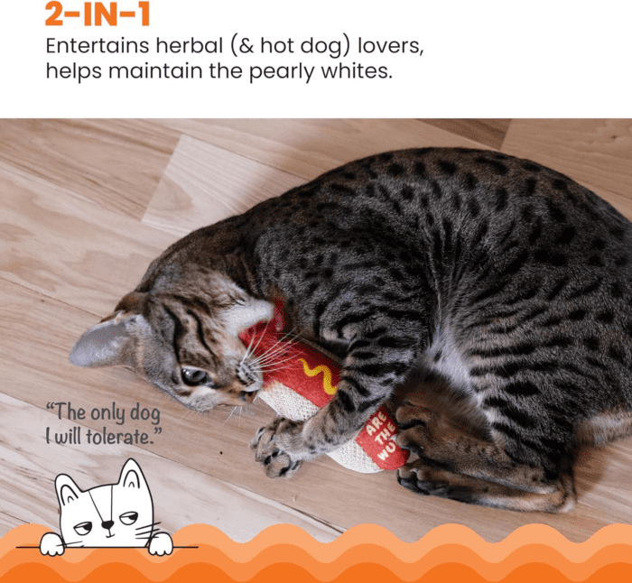 Hot Dog Kicker Catnip Toy and Dental Toy for Cats Hot Dog Themed Funny Catnip Stuffed Kicker Toy, Brown - Image 2