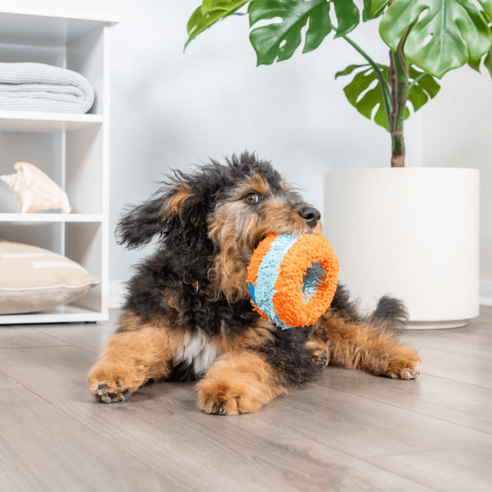 Chuckit Indoor Fetch Roller Dog Toy (7.5 Inch), Orange and Blue - Image 5