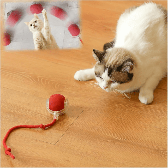 Interactive Cat Toys for Indoor Cats,2025 New Agility Move Cat Balls,Motion Activated Cat Balls, Cat Toys for Bored Indoor Cats（Red）