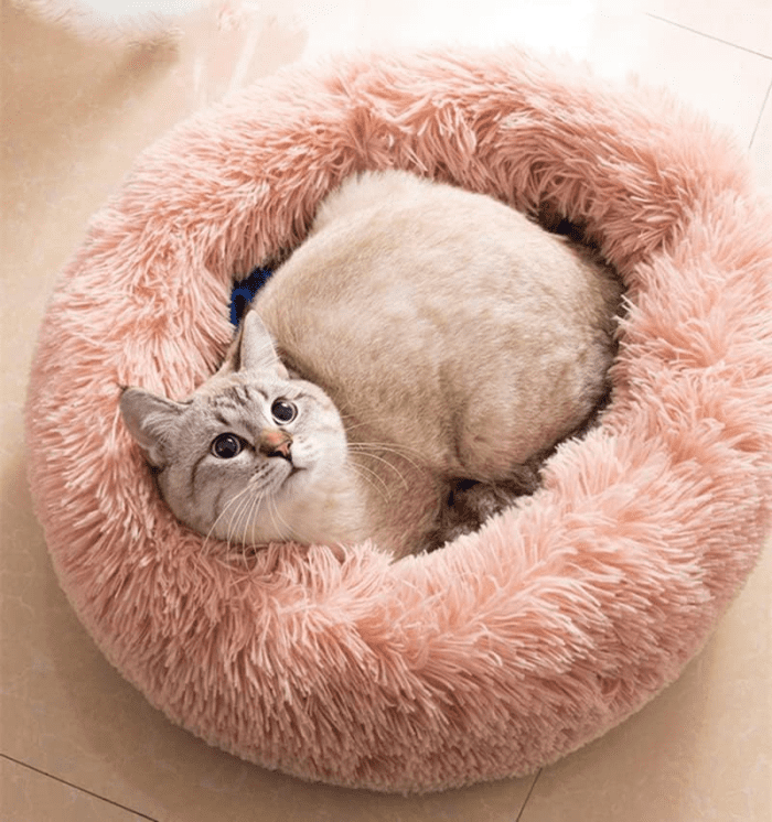 Cat Beds for Indoor Cats - Cat Bed Washable 20/24 Inches, Dog Beds for Small Medium Dogs, anti Anxiety round Fluffy Plush Faux Fur Cat Bed, Thick Bottom (Pink, Medium)