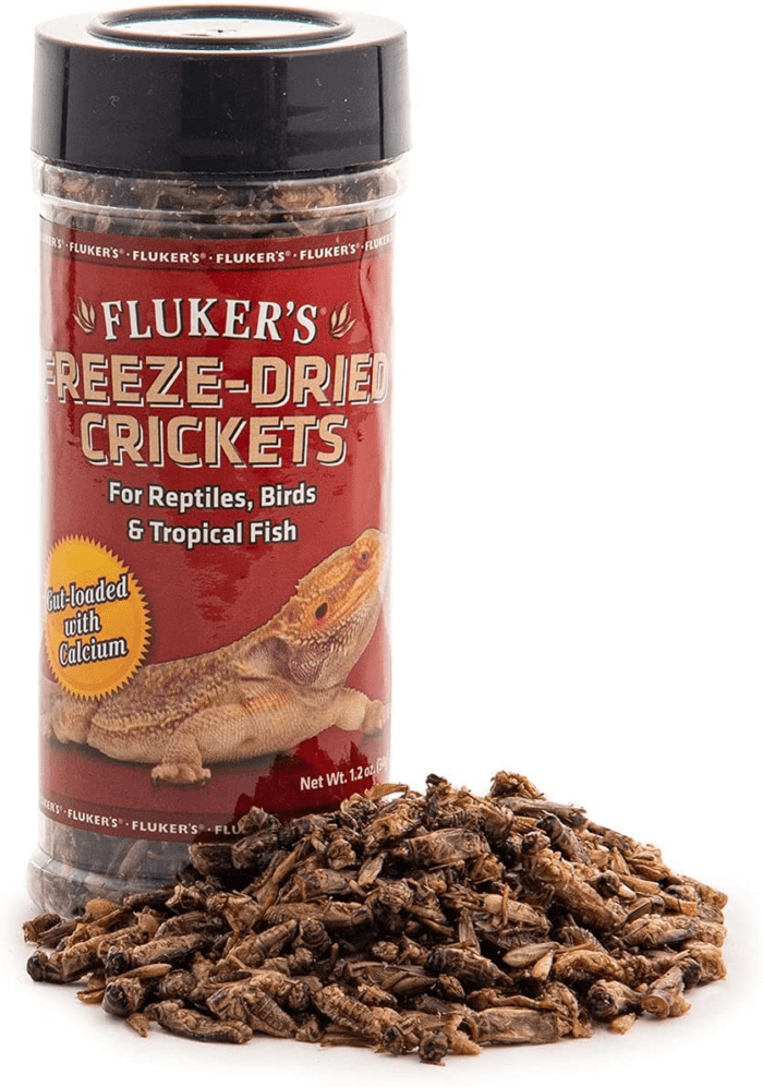 Freeze Dried Crickets, Ideal for Reptiles, Birds, and Fish, Packed with Protein and Essential Nutrients, 1.2 Oz - Image 2