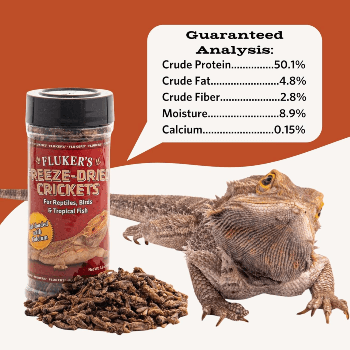 Freeze Dried Crickets, Ideal for Reptiles, Birds, and Fish, Packed with Protein and Essential Nutrients, 1.2 Oz - Image 5