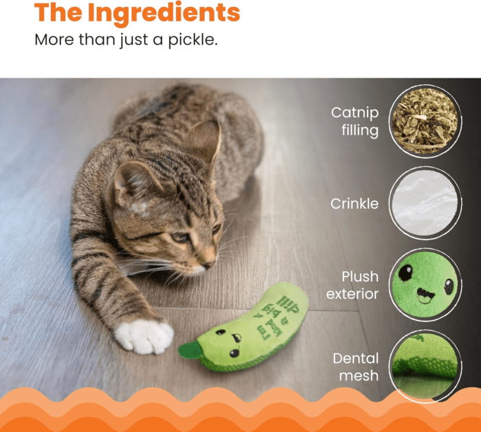 Crunchy Pickle Kicker Dental Catnip Cat Toy - Image 6