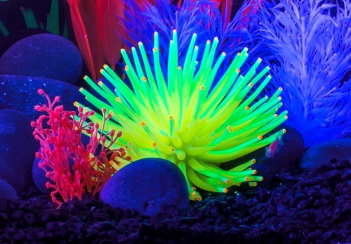 Anenome Ornaments, Fish Tank Decorations, Aquarium Decorations, Creates a Glowing Effect (Pack of 1) - Image 3