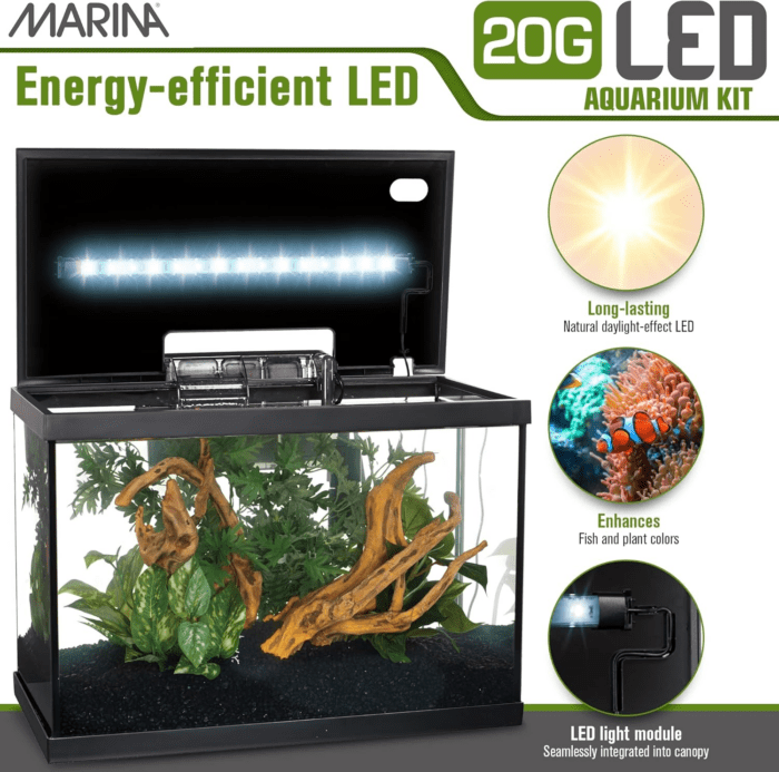 Aquarium Kit - 20 Gallon Fish Tank - LED - Image 4