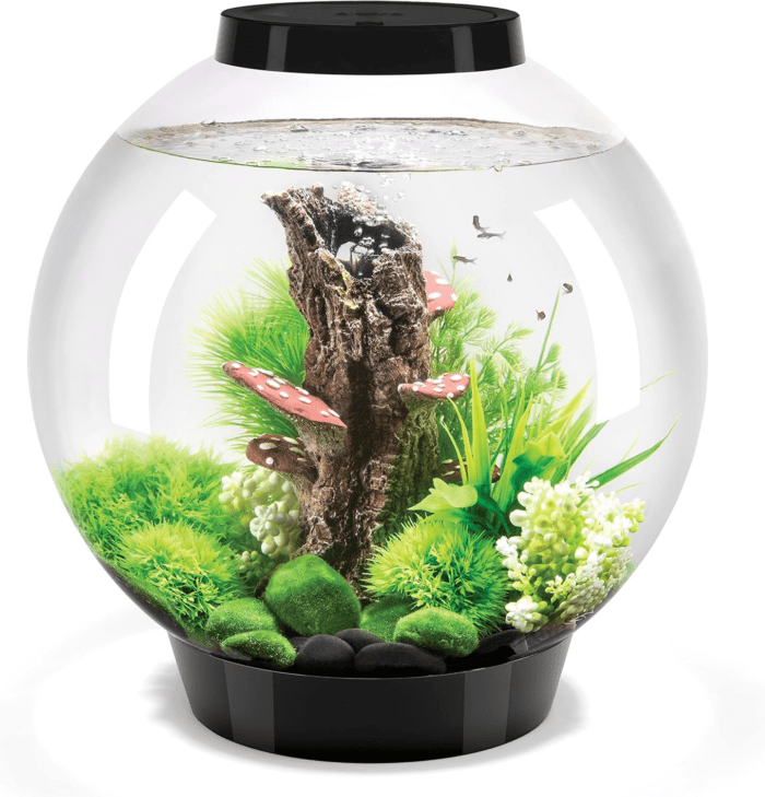 Classic 30 Acrylic 8-Gallon Aquarium with White LED Lights Modern Tank for Tabletop Display, Black