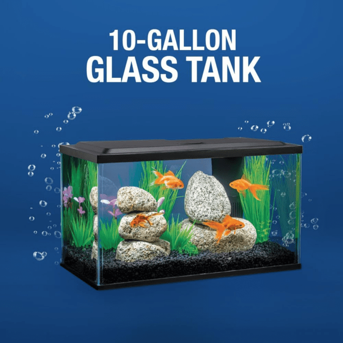 Goldfish LED Kit 10 Gallons, Complete Aquarium Set with Lighting and Filter - Image 4