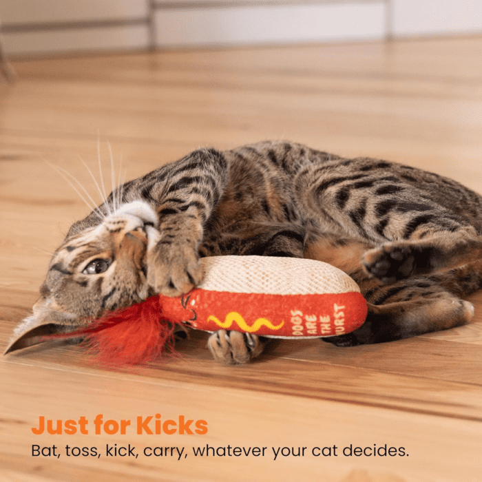 Hot Dog Kicker Catnip Toy and Dental Toy for Cats Hot Dog Themed Funny Catnip Stuffed Kicker Toy, Brown - Image 6