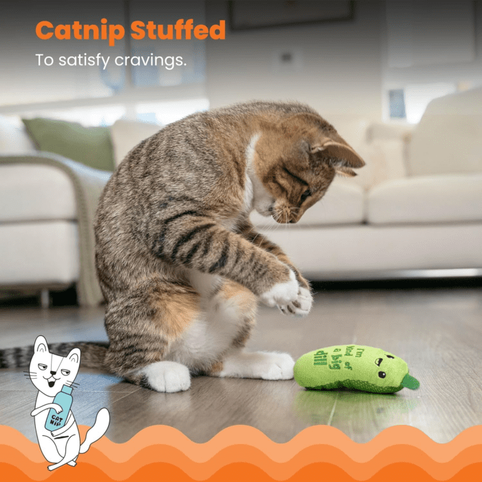 Crunchy Pickle Kicker Dental Catnip Cat Toy - Image 5