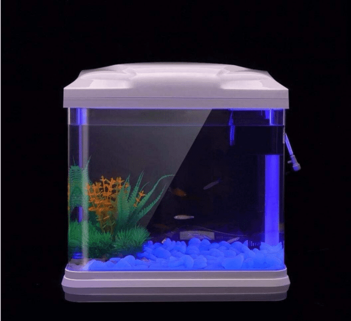 Fish Tank Rocks Glow Blue/Glow in the Dark Pebbles for Garden/Fish Tank/Aquarium/Plant Pots/Bonsai Walkway/Driveway 100Pcs - Image 2