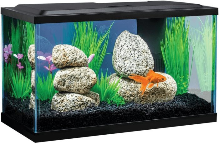 Goldfish LED Kit 10 Gallons, Complete Aquarium Set with Lighting and Filter - Image 2