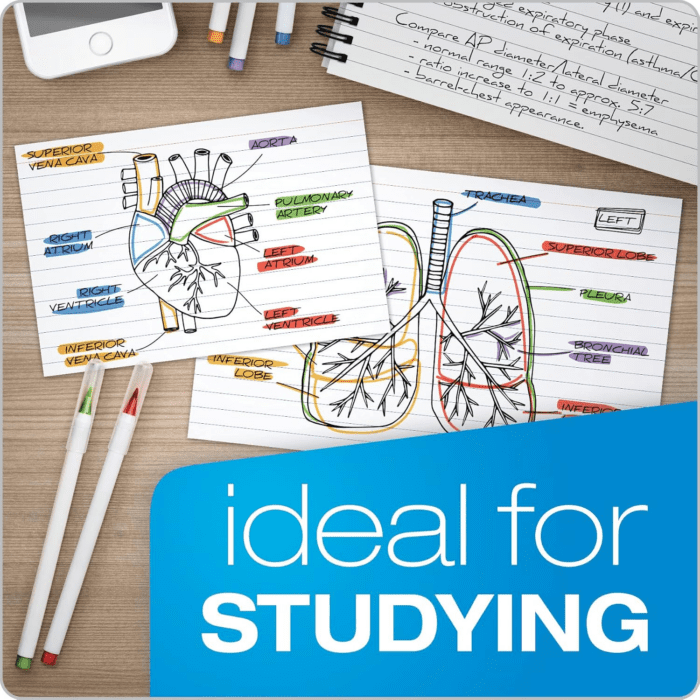 Index Cards, 3 X 5 Inches, White, Lined on Front, Blank on Back, Flashcards for School and Studying, Recipe Note Cards, 500 Count (5 Packs of 100) (40176) - Image 5