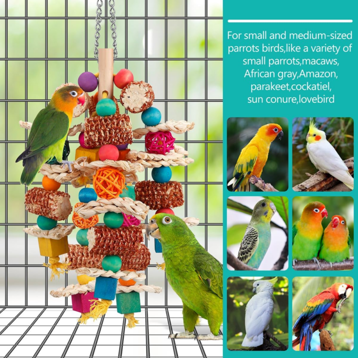 Parrot Toys Bird Toys Natural Corn Cob Bird Chew Toys for Small and Medium-Sized Macaws,African Grey,Cockatoos,Amazon Parrots,Parakeet,Cockatiel,Sun Conure, Lovebird with Wooden Blocks - Image 5