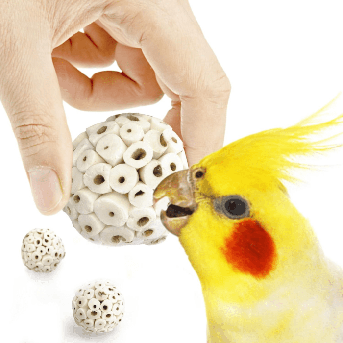 Sola Atta Foraging Balls, 2”, White Soft Shred Parrot Chews, Bird Chewing Accessories for Conure, Budgie, Parakeet, Cockatiel, Rabbits, Hamsters, and Small Pets, 3 Pcs/Pack - Image 2