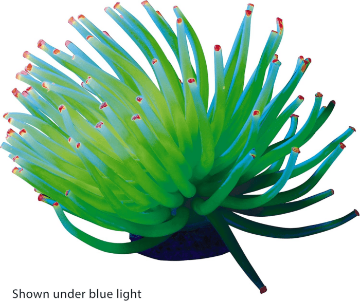 Anenome Ornaments, Fish Tank Decorations, Aquarium Decorations, Creates a Glowing Effect (Pack of 1) - Image 2