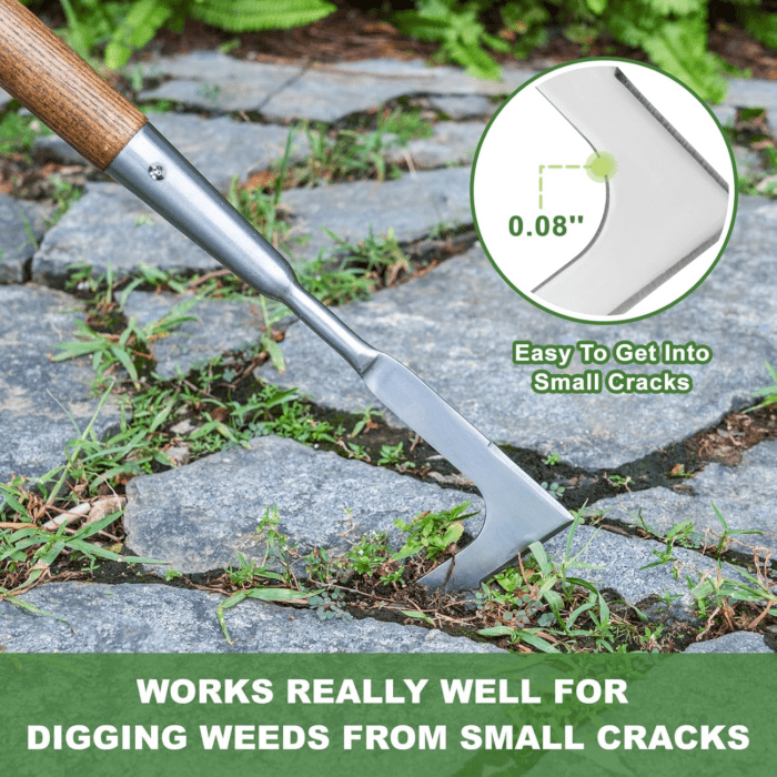 Long Handle Crack Weeder, 62'' L-Shaped Stainless Steel Crevice Weeding Tool, Comfortable Wood Handle Paver Weeder, Sidewalk Weed Removal Tool for Garden Lawn, Bricked Patio, Terrace Paving - Image 4