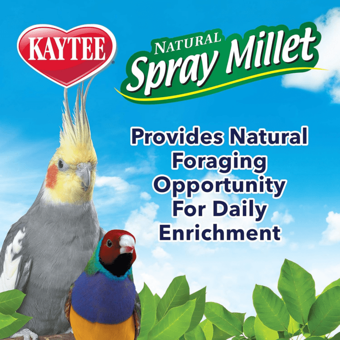 Spray Millet Treat for Pet Birds, 7 Ounce - Image 5