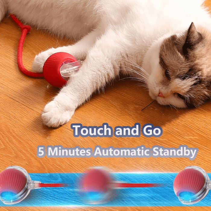 Interactive Cat Toys for Indoor Cats,2025 New Agility Move Cat Balls,Motion Activated Cat Balls, Cat Toys for Bored Indoor Cats（Red） - Image 6