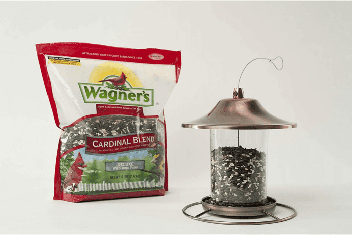 62032 Cardinal Blend Wild Bird Food, 6-Pound Bag - Image 7