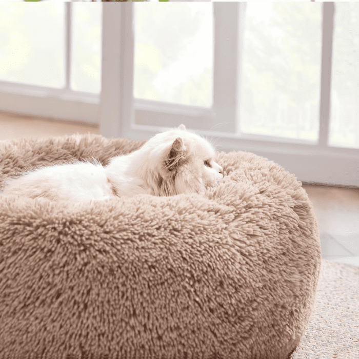 Calming Cat Beds for Indoor Cats - Small Cat Bed Washable 20 Inches, Anti-Slip round Fluffy Plush Faux Fur Pet Bed, Fits up to 15 Lbs Pets, Camel - Image 3