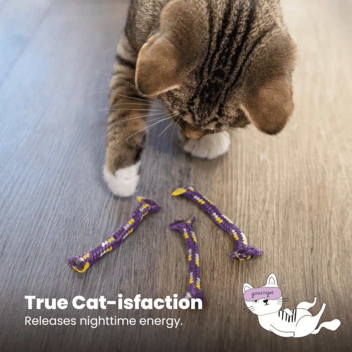 Nighttime Catnip Rolls Cat Toys - 3 Pack - Image 6