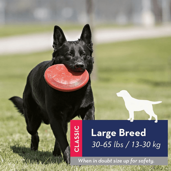 Flyer - Durable Dog Toy for Outdoor Playtime - Natural Rubber Flying Disc, Dog Toy for Fetch - Safer Disc for Healthy Activity - for Medium/Large Dogs - Image 3