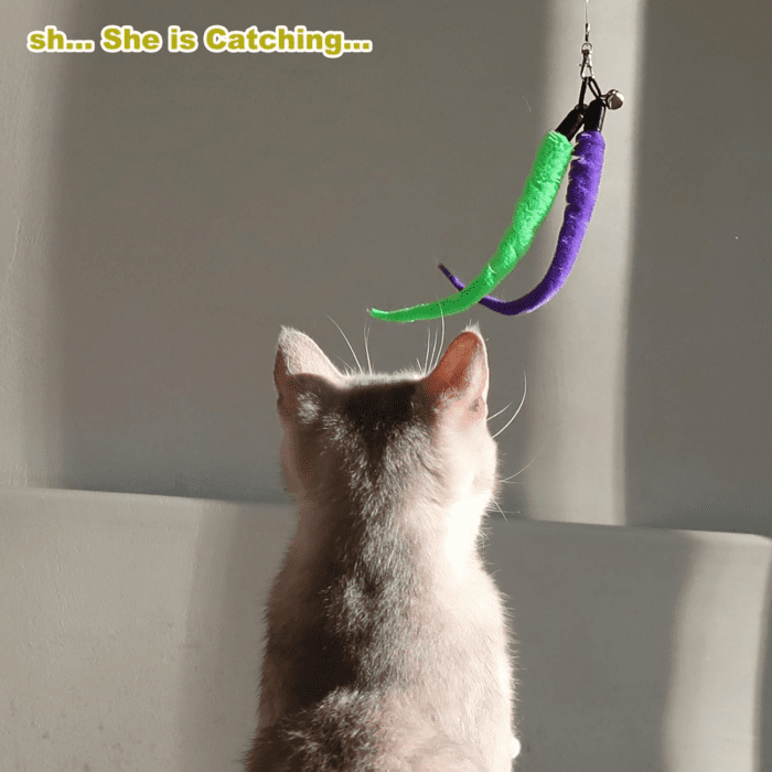 Interactive Cat Toys - Retractable Wand Toy and Feather Toys Refills for Indoor Cats to Chase and Exercise - Image 8