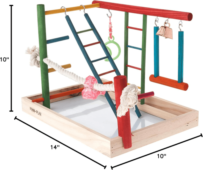 Bird Life Wooden Playpen – Perfect for Cockatiels and Conures – Large - Image 7